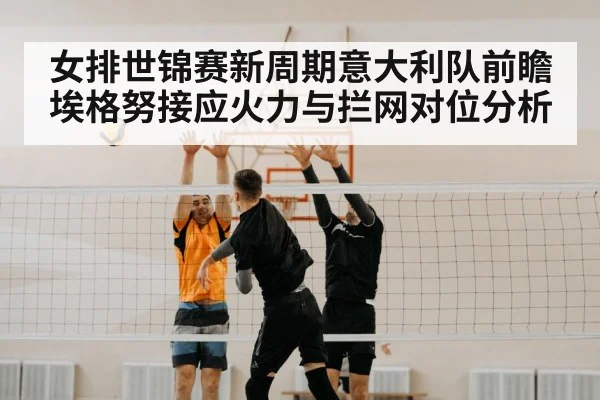 volleyball block net