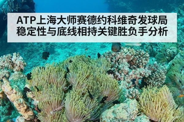 ATP上海大师赛德约科维奇发球局稳定性与底线相持关键胜负手分析